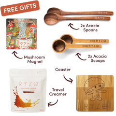 Cocoa Free Gift Bundle - Classic Lineup