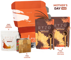 Cocoa Free Gift Bundle - Classic Lineup