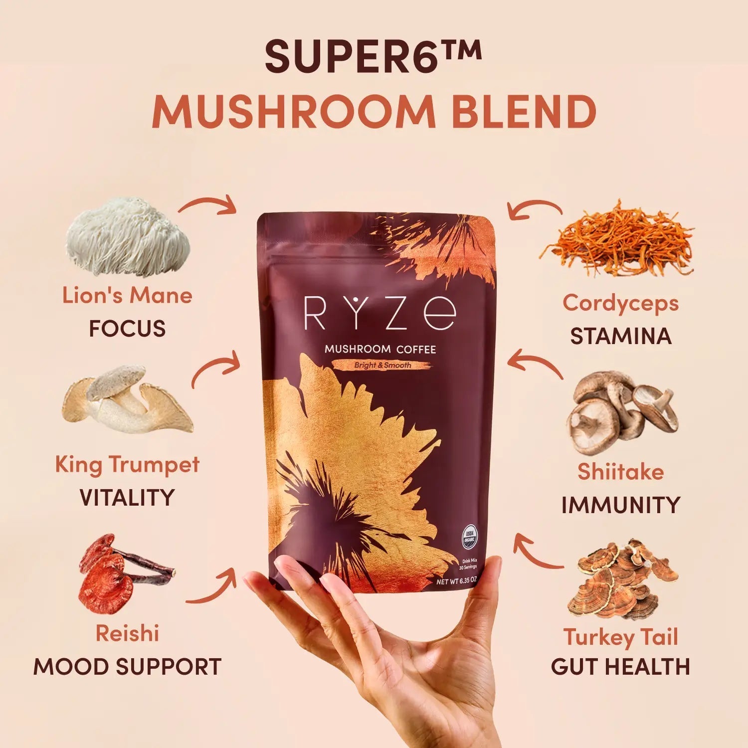 Chai Free Gift Bundle - Warm Pick