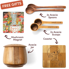 Cocoa Free Gift Bundle - Classic Lineup