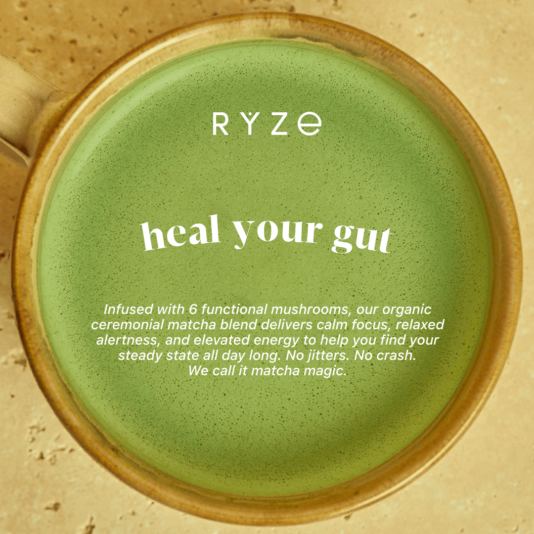 RYZE Organic Mushroom Matcha Starter Kit (60 servings) - Fresh Start
