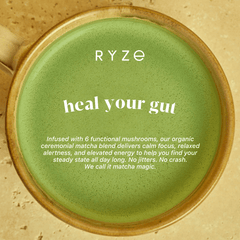 RYZE Organic Mushroom Matcha Starter Kit (60 servings) - Fresh Start