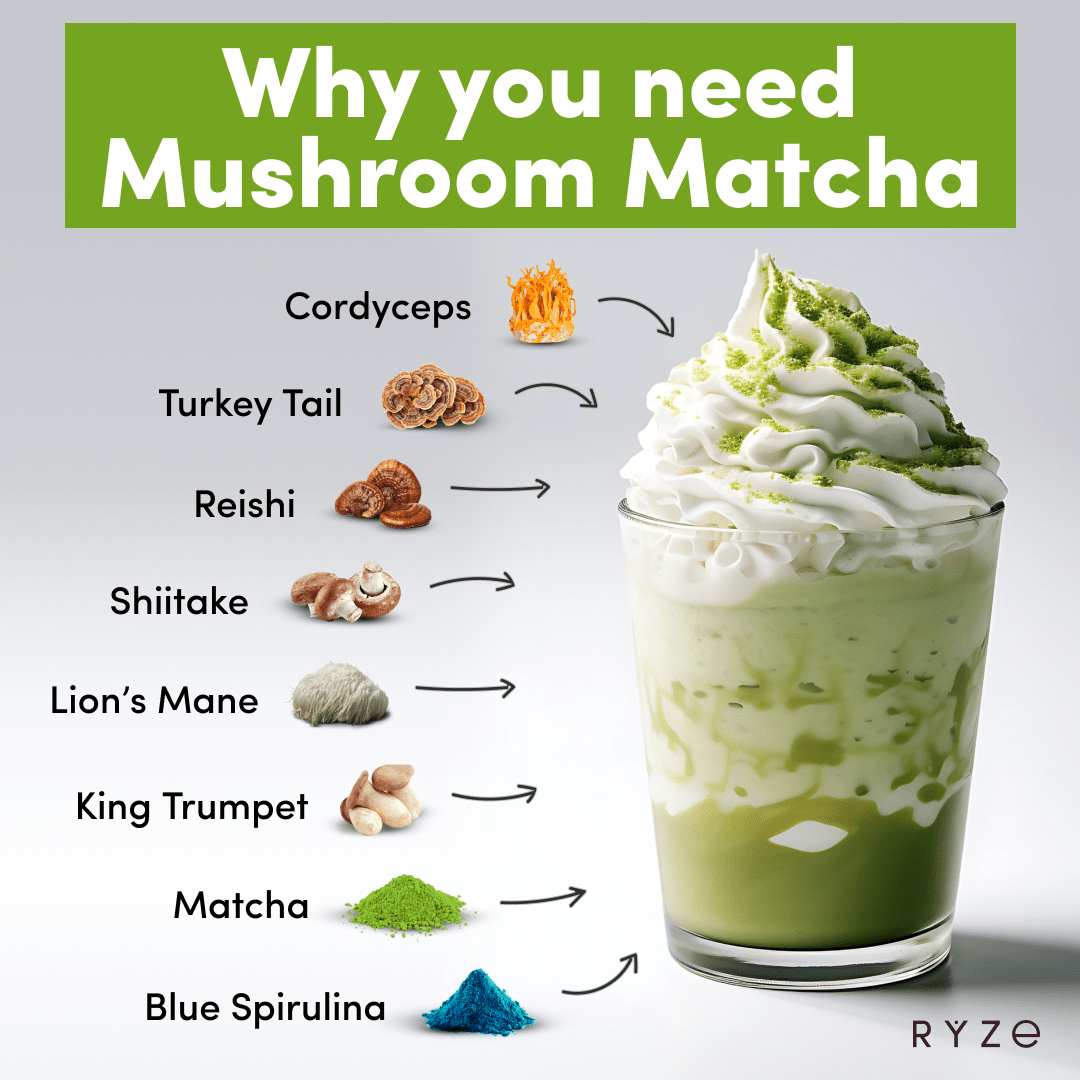RYZE Organic Mushroom Matcha Starter Kit (60 servings) - Fresh Start
